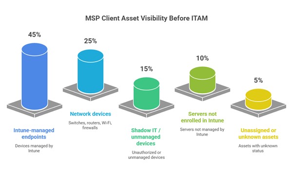 MSP client asset visibility before ITAM